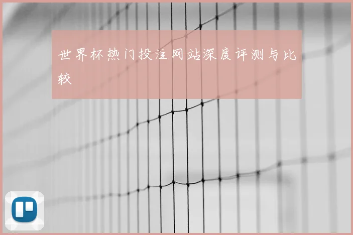 世界杯热门投注网站深度评测与比较