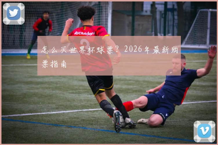 怎么买世界杯球票?2026年最新购票指南