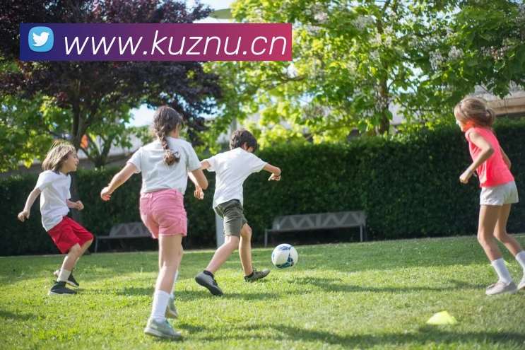 九游j9官网最新地址APP 封面图